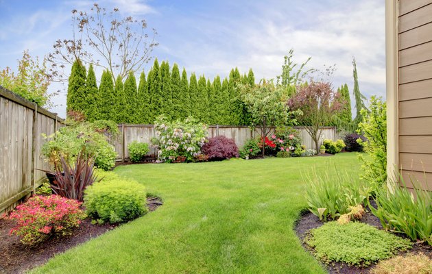 Modern front lawn with fresh sod installation
