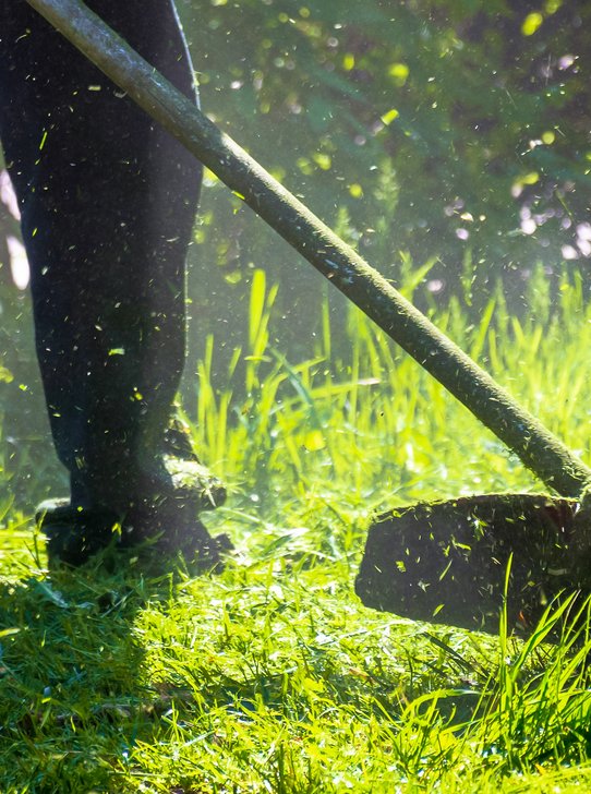 Lawn care service