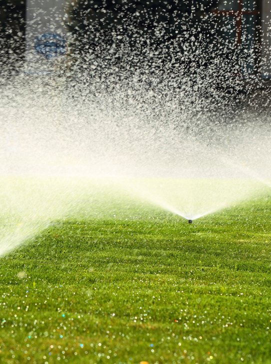 Irrigation and sprinkler system service